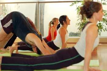 Talleres de Instructor de Yoga en Arequipa 
 Instructor de Yoga 